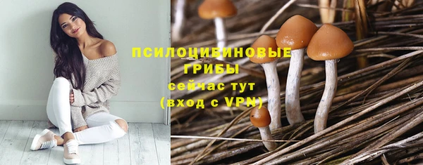герыч Вязьма